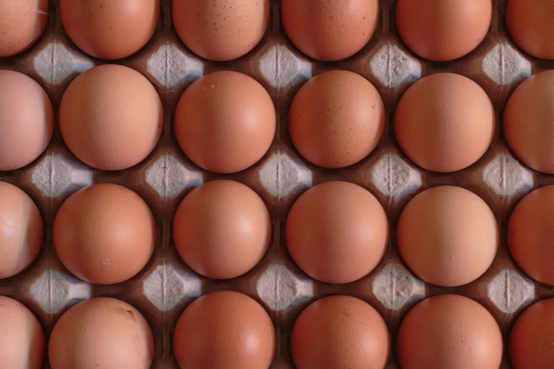 Eggs — illustrative photograph